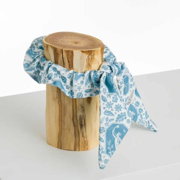 FOULCHIE "LES CAMEES" BLEUS