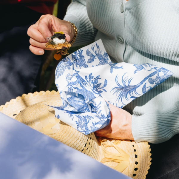 Une personne en gilet bleu clair tient sur ses genoux des serviettes SERVIETTES 33X33 "LES 4 PARTIES DU MONDE" BLEU DIRECTOIRE et un chapeau de paille, tout en dégustant un petit en-cas avec des herbes et de la crème à la main. la marque Toile de Jouy